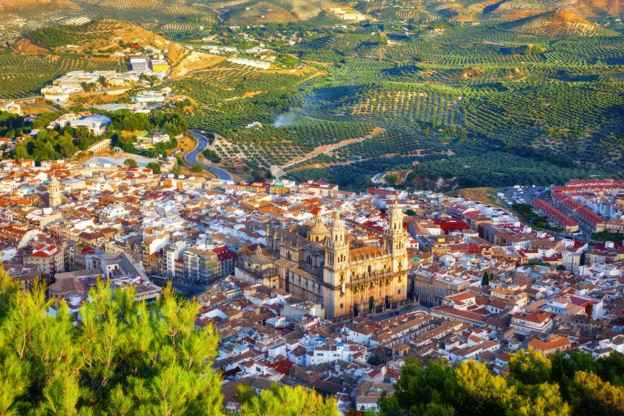 ciudad-jaén-city-vista-panoramic-reformas-integrales-plavifom-andalucia-spain HOME - ciudad jaen city vista panoramic reformas integrales plavifom andalucia spain - 2026